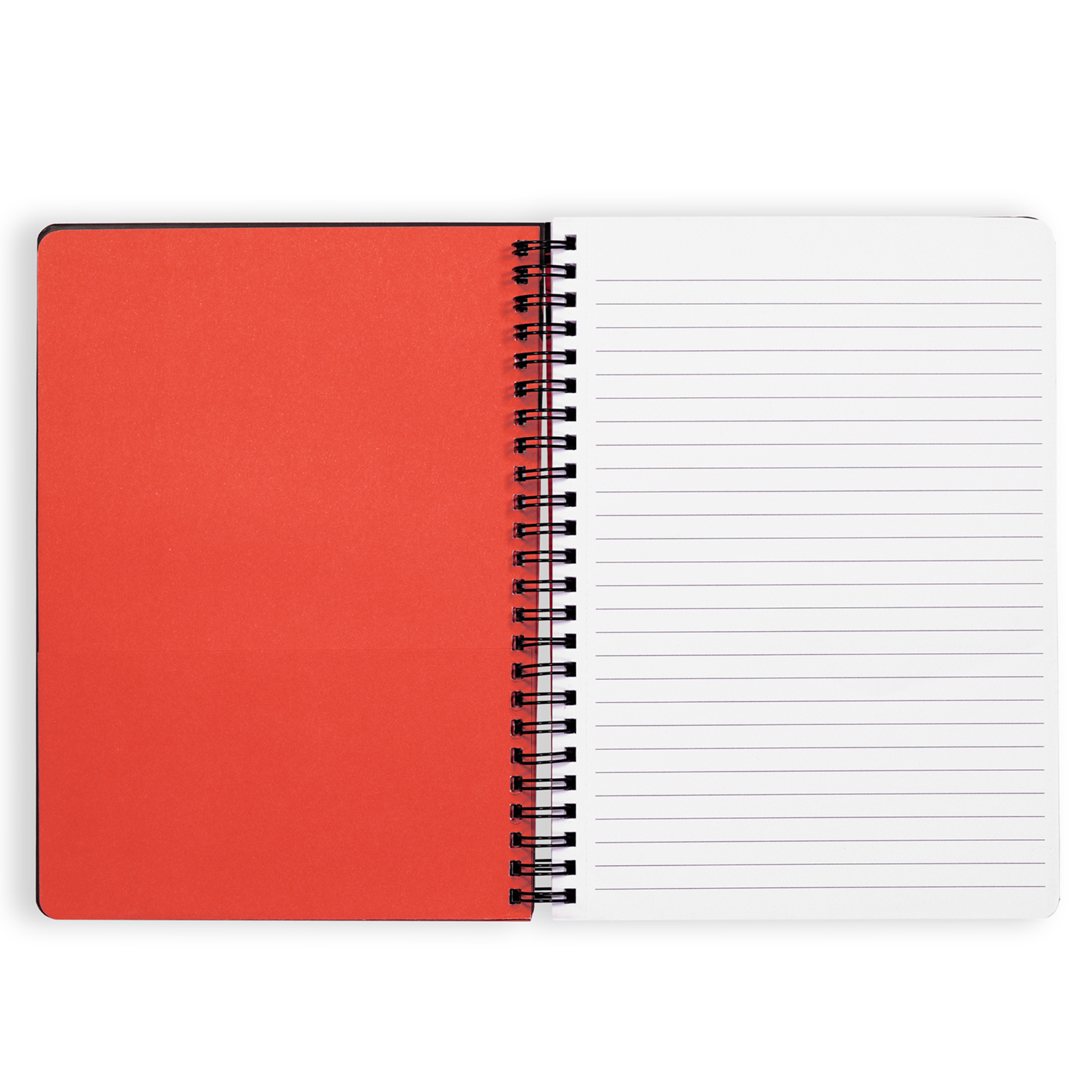 Mini Notebook, Dracula
