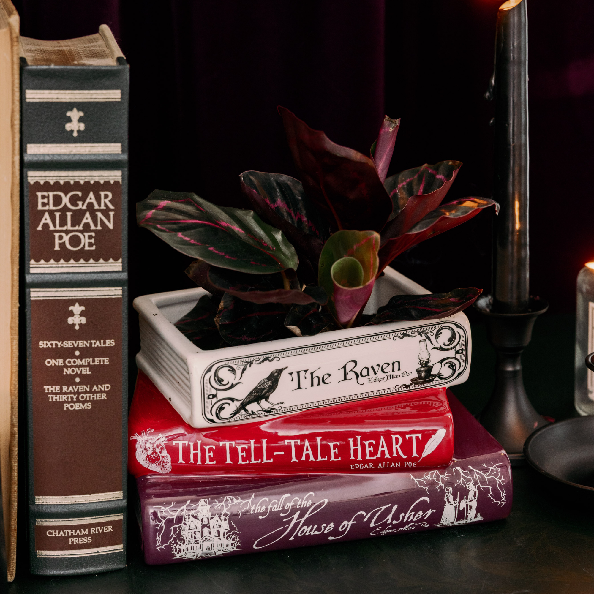 Stacked Books Planter, Edgar Allan Poe