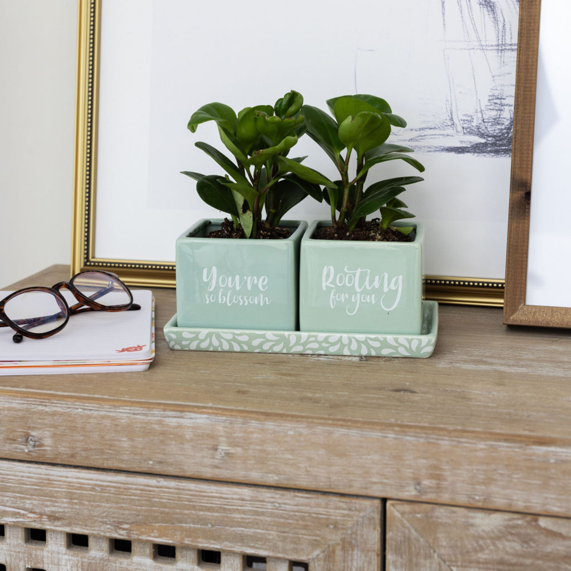 Ceramic Planter Set