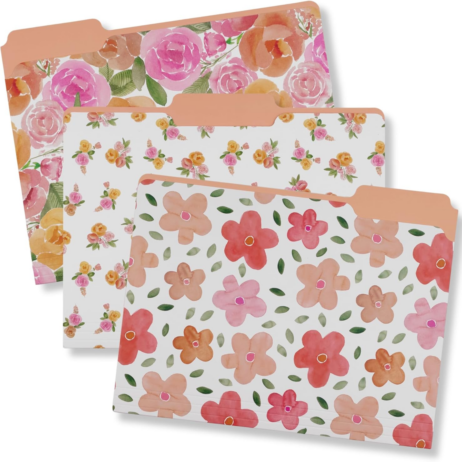 File Folders, Full Posey and Bold Floral
