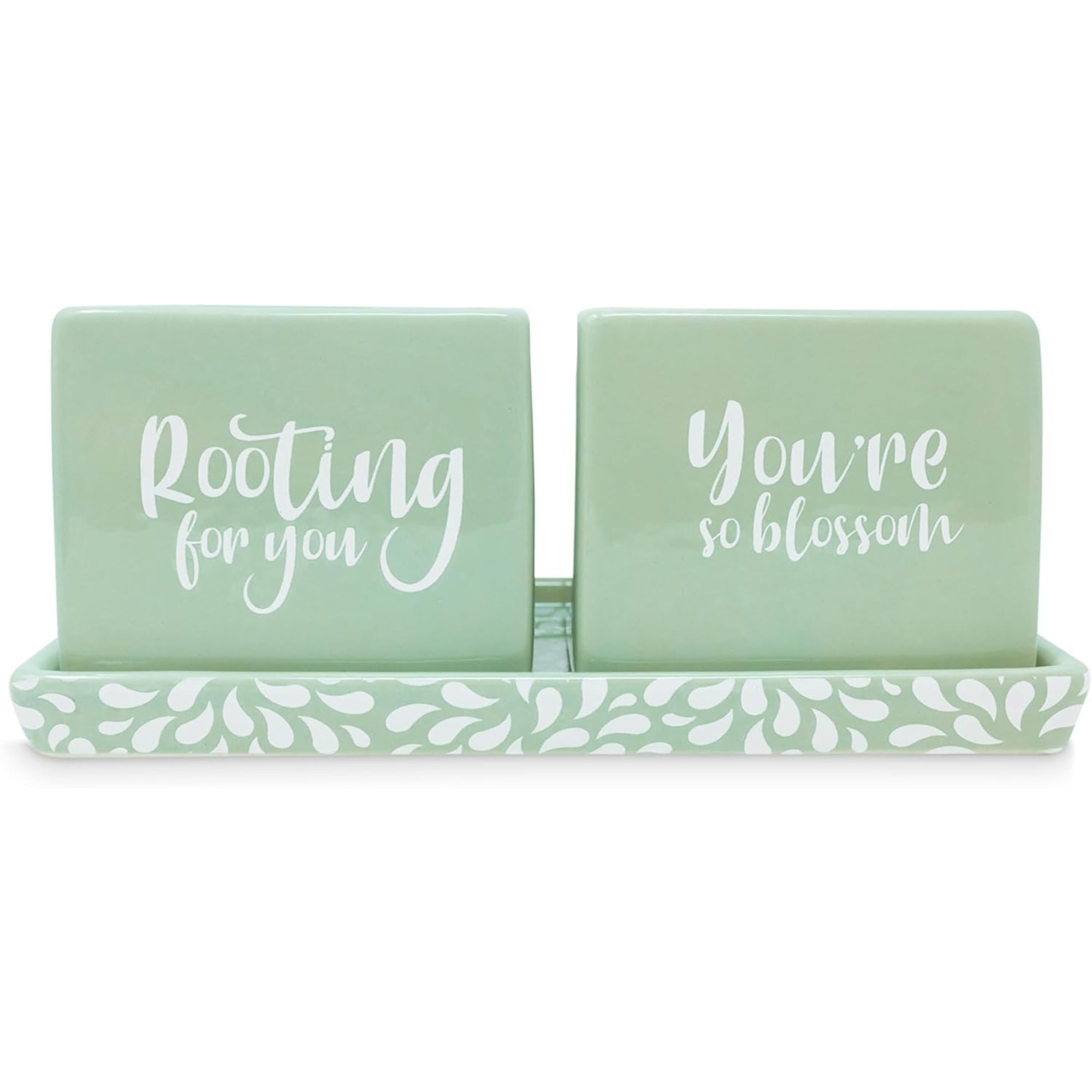 Ceramic Planter Set