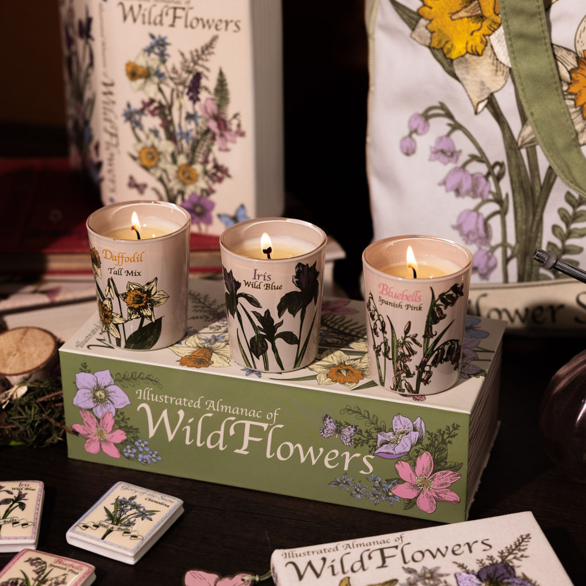 Votive Candle Set of 3, Wildflowers (Courtyard Blooms)