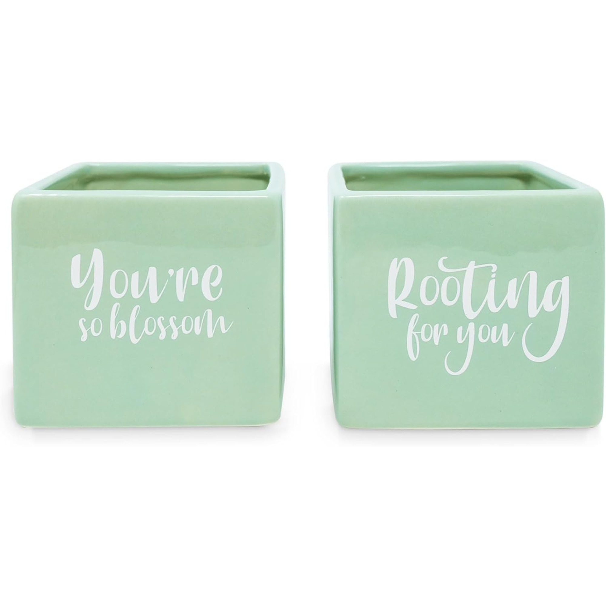 Ceramic Planter Set