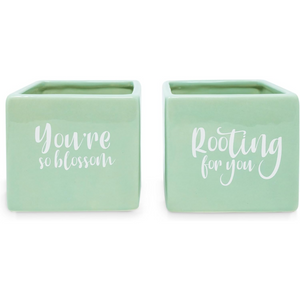 Ceramic Planter Set