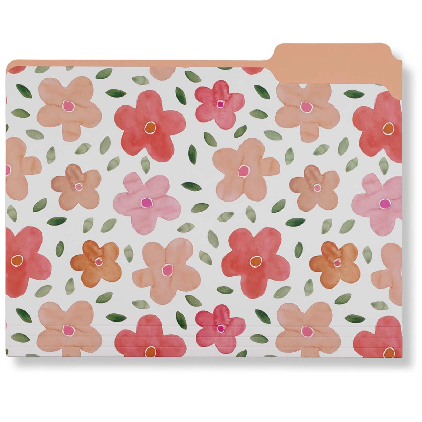 File Folders, Full Posey and Bold Floral