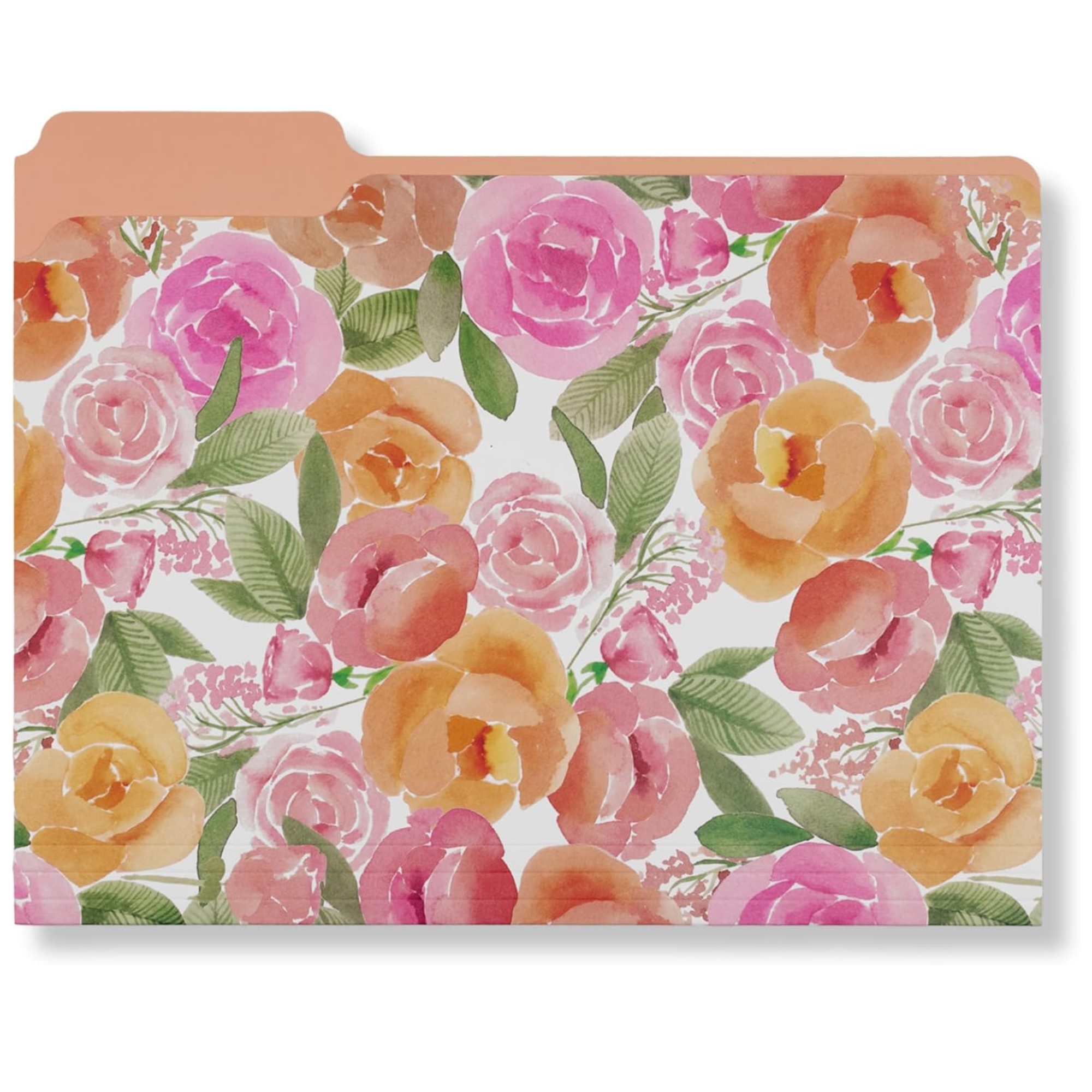 File Folders, Full Posey and Bold Floral