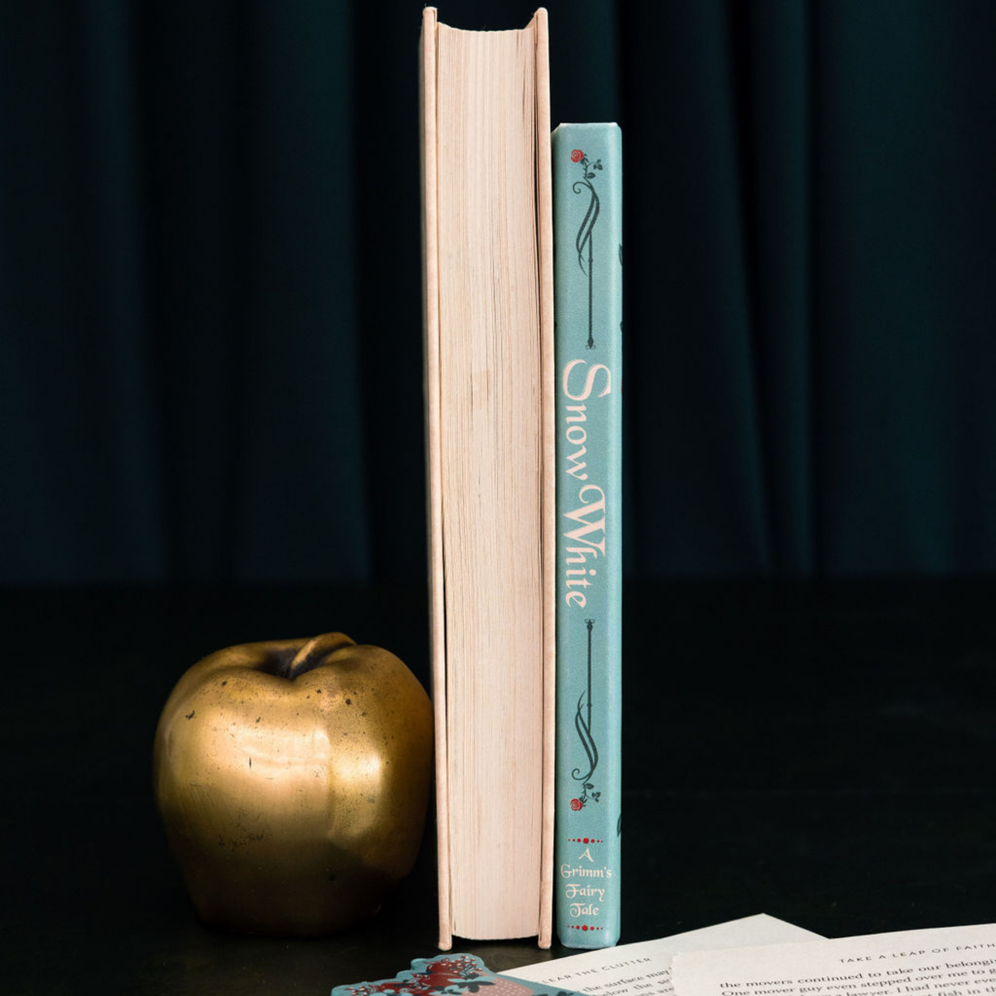 Vegan Leather Journal, Snow White