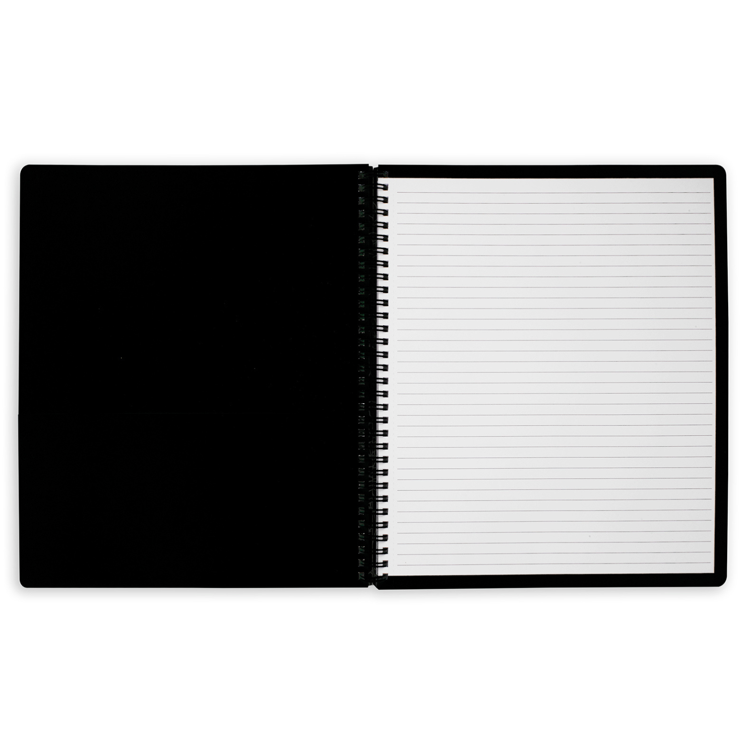 Large Notebook, Leopard