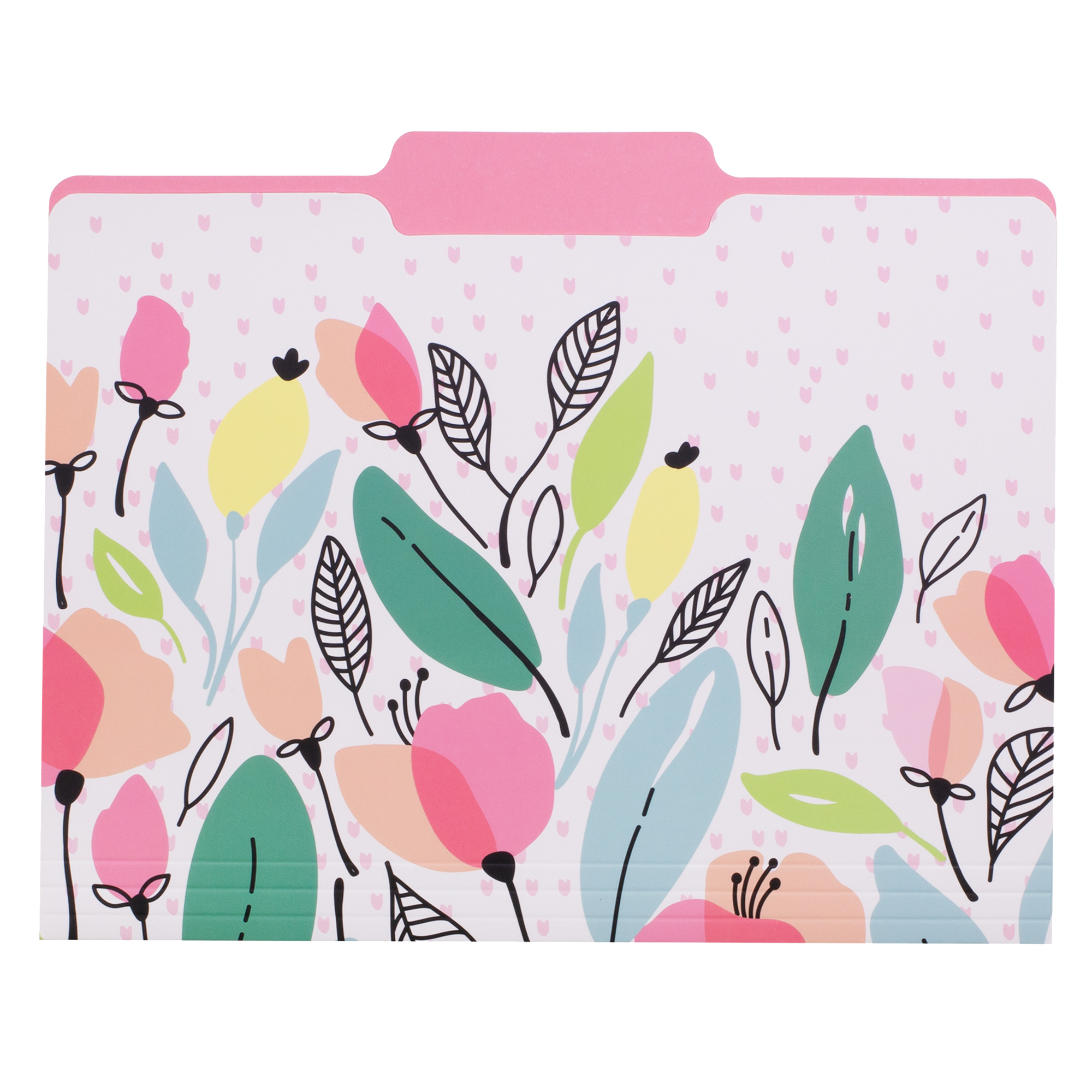 File Folder Set of 9, Pink Poppy