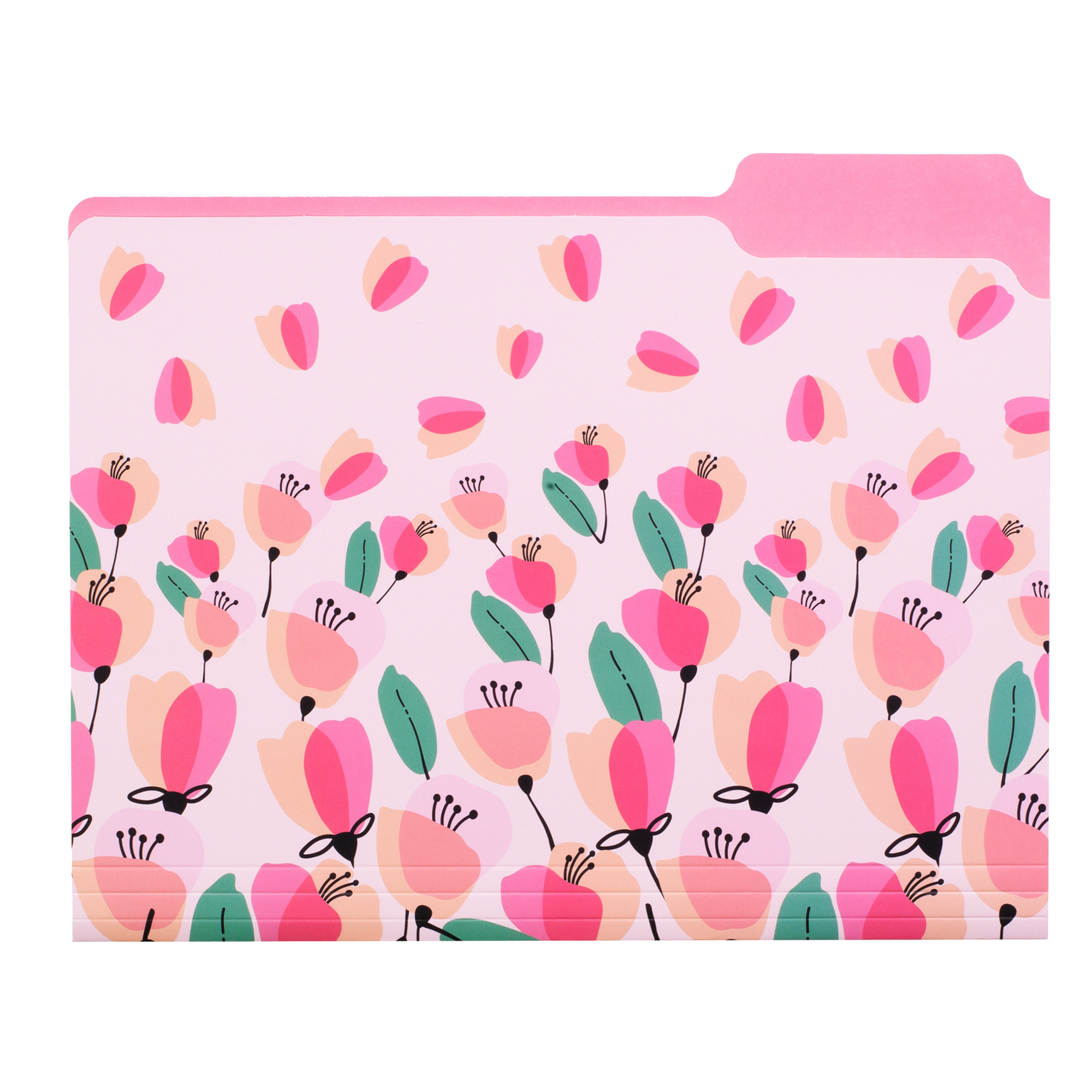 File Folder Set of 9, Pink Poppy