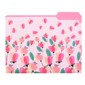 File Folder Set of 9, Pink Poppy
