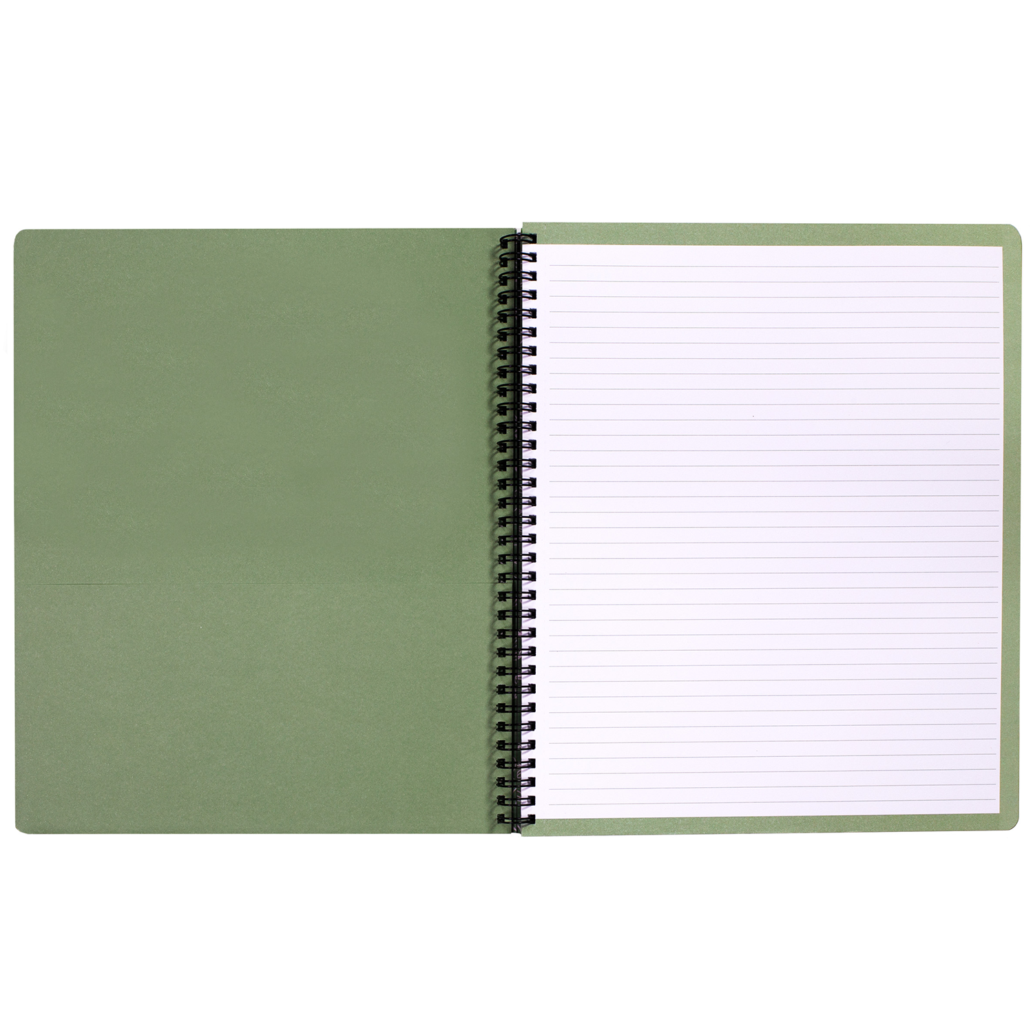 Large Notebook, Mushroom