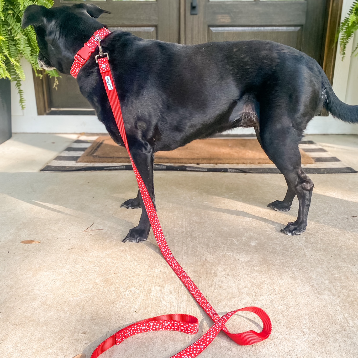 Dog Lead, Red Paws and Dots