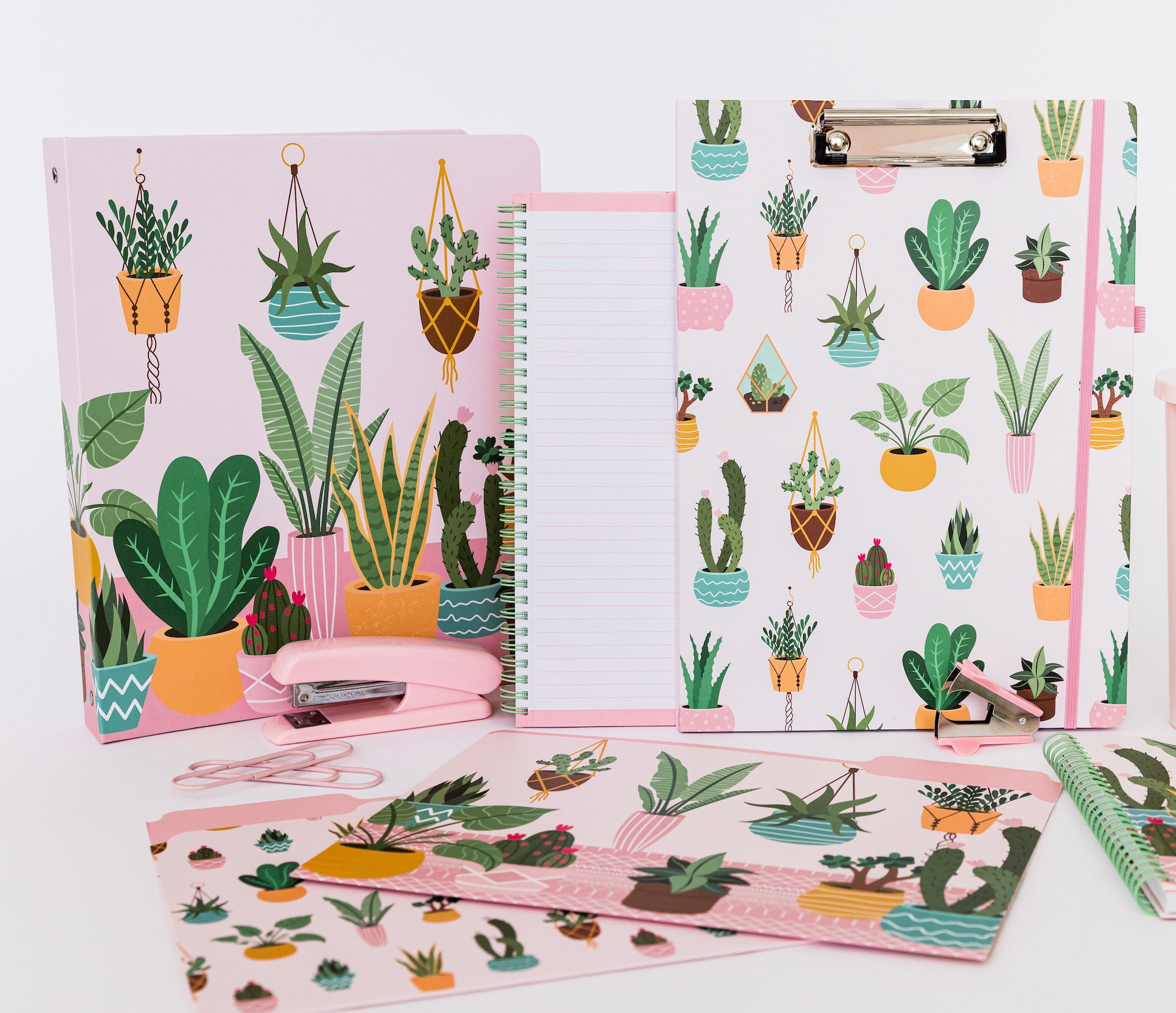 Three Ring Binder, Succulents