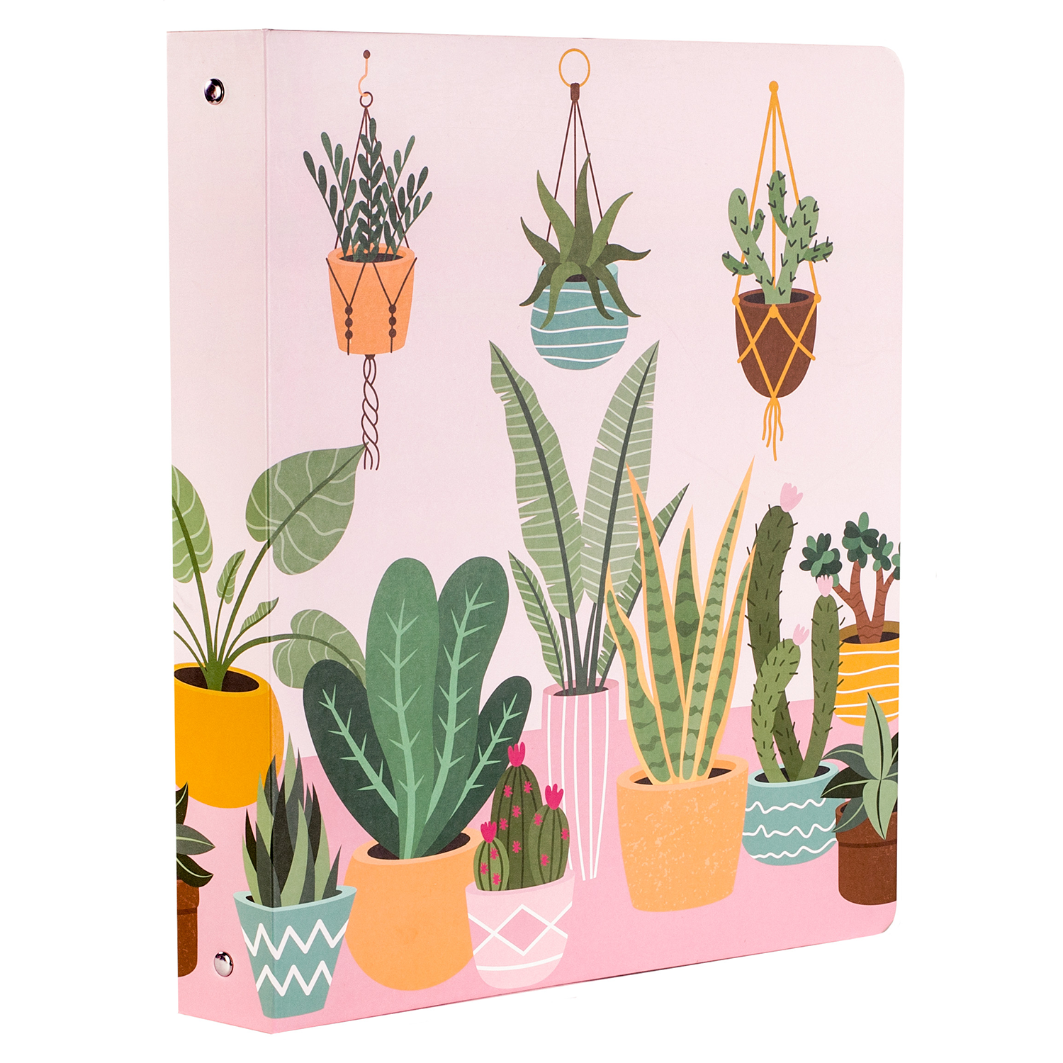 Three Ring Binder, Succulents