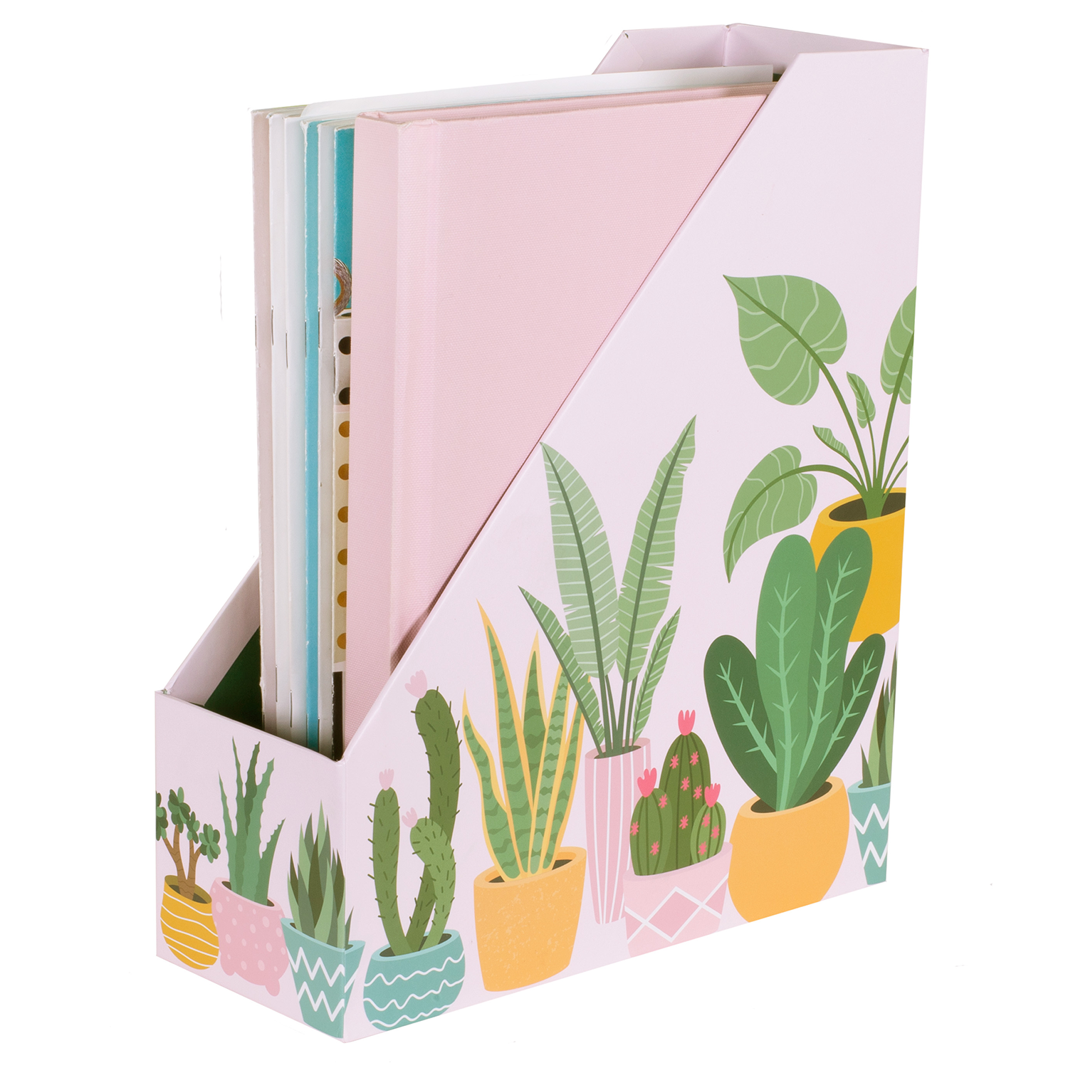 Magazine Holder Set, Succulents