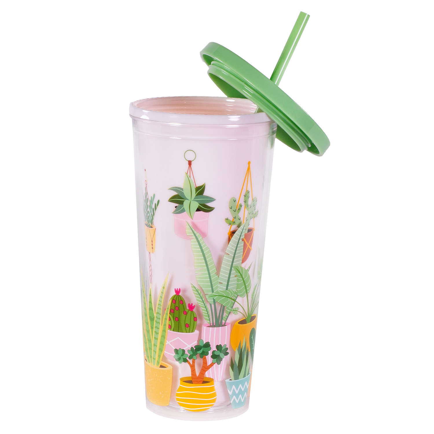 Tumbler with Straw Succulents