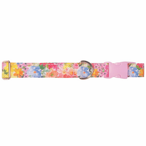 Large Dog Collar, Summer Garden