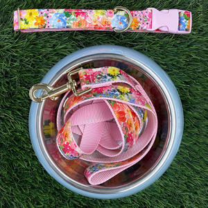 Large Dog Collar, Summer Garden